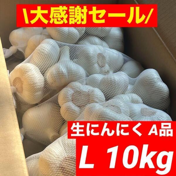 【大感謝セール】新物 青森県産 生にんにく A品 L 10kg福地ホワイト六片