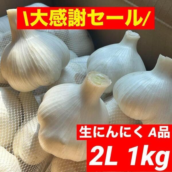 【大感謝セール】新物 青森県産 生にんにく A品 2L 1kg福地ホワイト六片