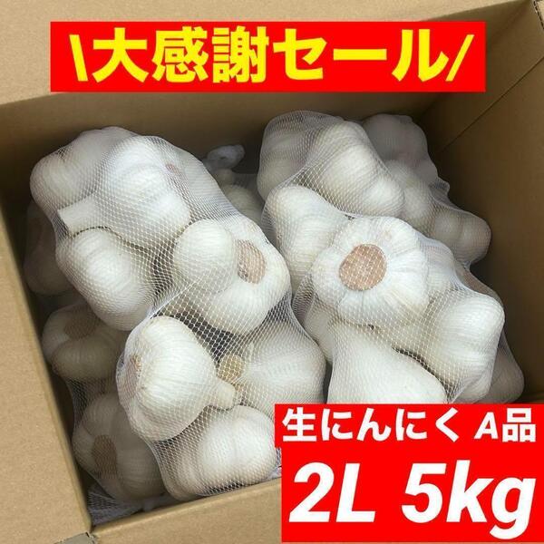 【大感謝セール】新物 青森県産 生にんにく A品 2L 5kg福地ホワイト六片