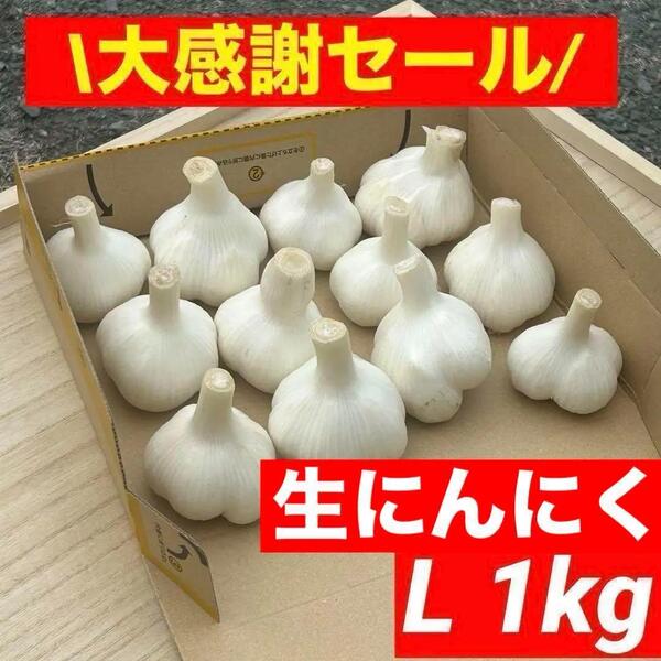 【大感謝セール】新物 青森県産 生にんにく L 1kg福地ホワイト六片