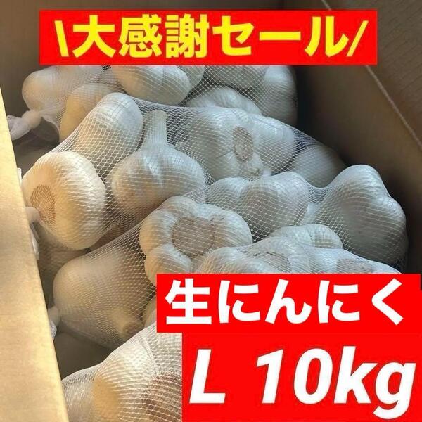【大感謝セール】新物 青森県産 生にんにく L 10kg 福地ホワイト六片
