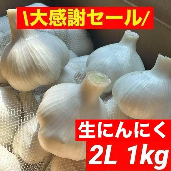 【大感謝セール】新物 青森県産 生にんにく 2L 1kg 福地ホワイト六片