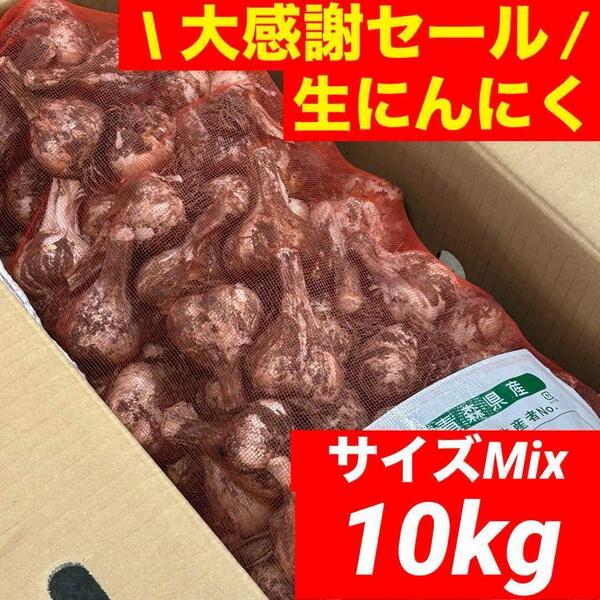 【大感謝セール】新物 青森県産 生にんにく 10kg 大中小サイズ福地ホワイト