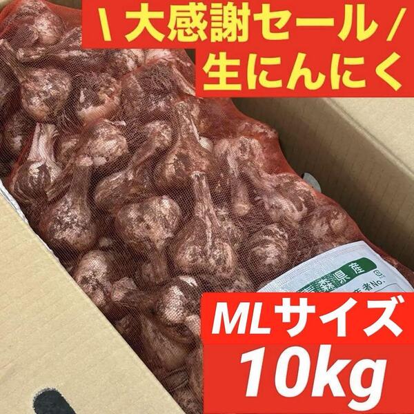 【大感謝セール】新物 青森県産 生にんにく 10kg MLサイズ福地ホワイト