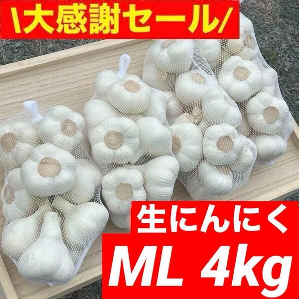 【大感謝セール】新物 青森県産 生にんにく ML 4kg 福地ホワイト六片
