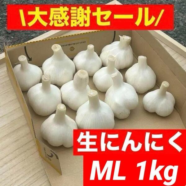 【大感謝セール】新物 青森県産 生にんにく ML 1kg 福地ホワイト六片