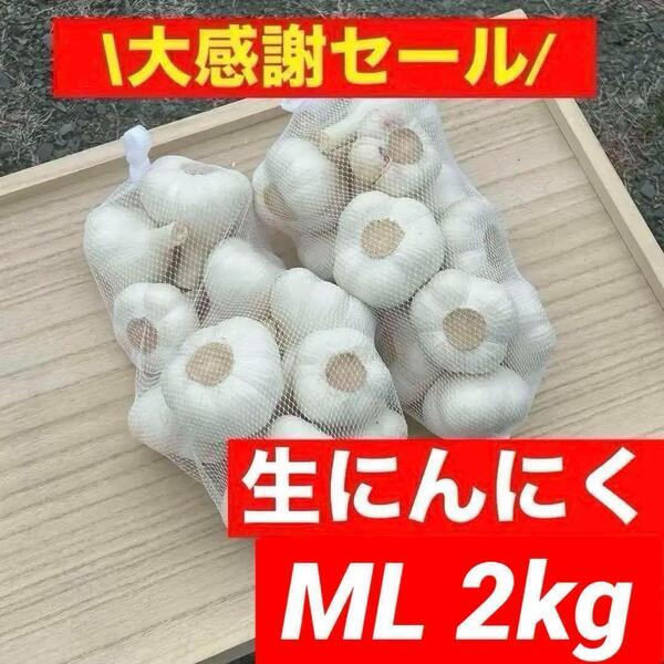 【大感謝セール】新物 青森県産 生にんにく ML 2kg 福地ホワイト六片