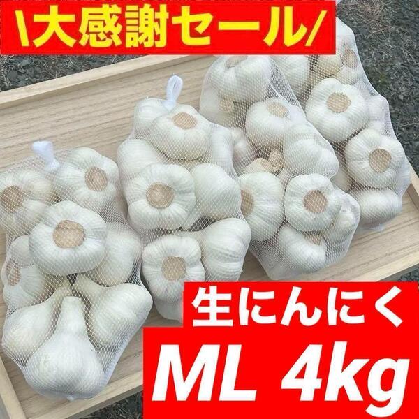 【大感謝セール】新物 青森県産 生にんにく ML 4kg 福地ホワイト六片
