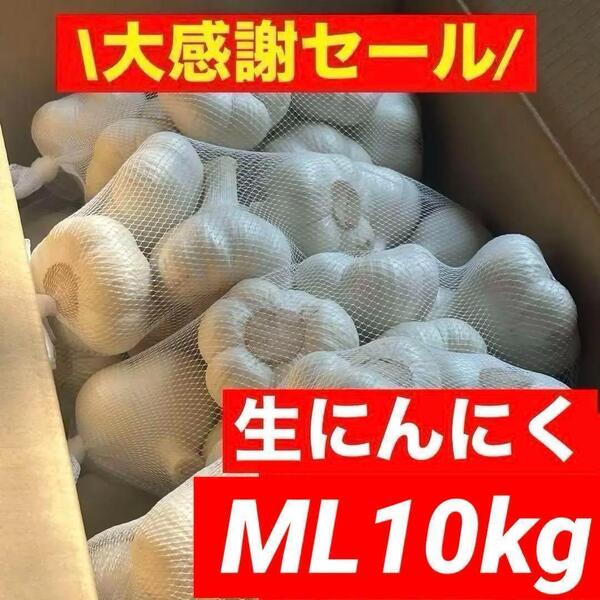 【大感謝セール】新物 青森県産 生にんにく ML 10kg 福地ホワイト六片
