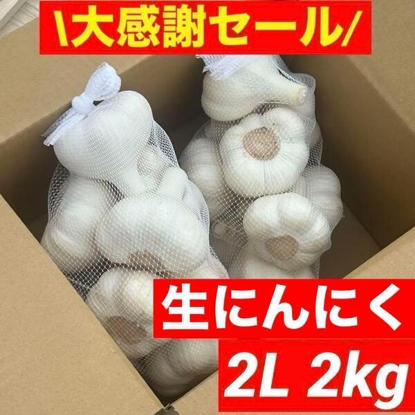 【大感謝セール】新物 青森県産 生にんにく 2L 2kg 福地ホワイト六片