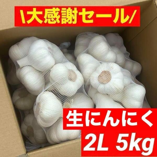 【大感謝セール】新物 青森県産 生にんにく 2L 5kg 福地ホワイト六片