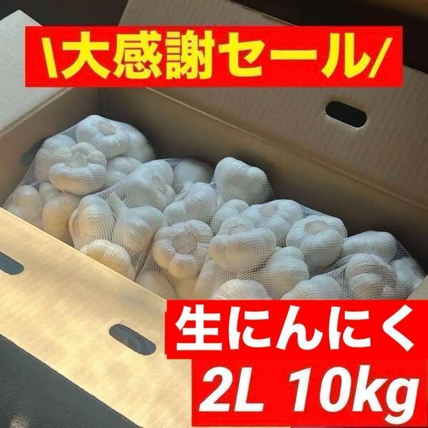 【大感謝セール】新物 青森県産 生にんにく 2L 10kg福地ホワイト六片