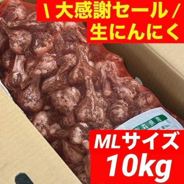 【大感謝セール】新物 青森県産 生にんにく 10kg MLサイズ福地ホワイト