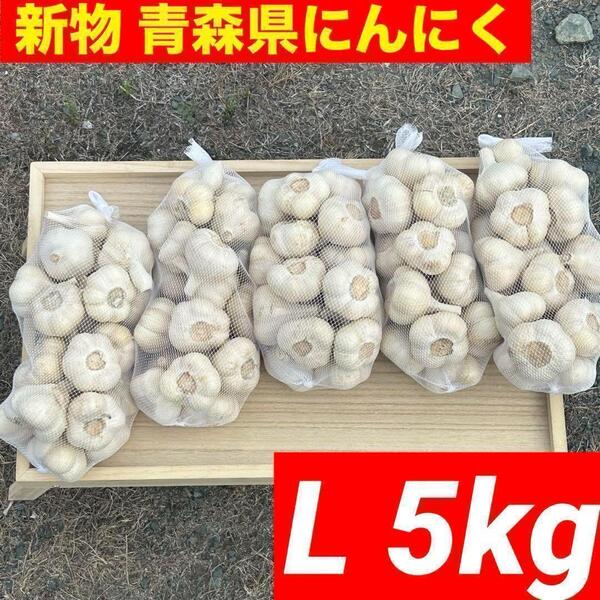 【大特価】新物 青森県産 にんにく L 5kg福地ホワイト六片 絶品 加工 激安
