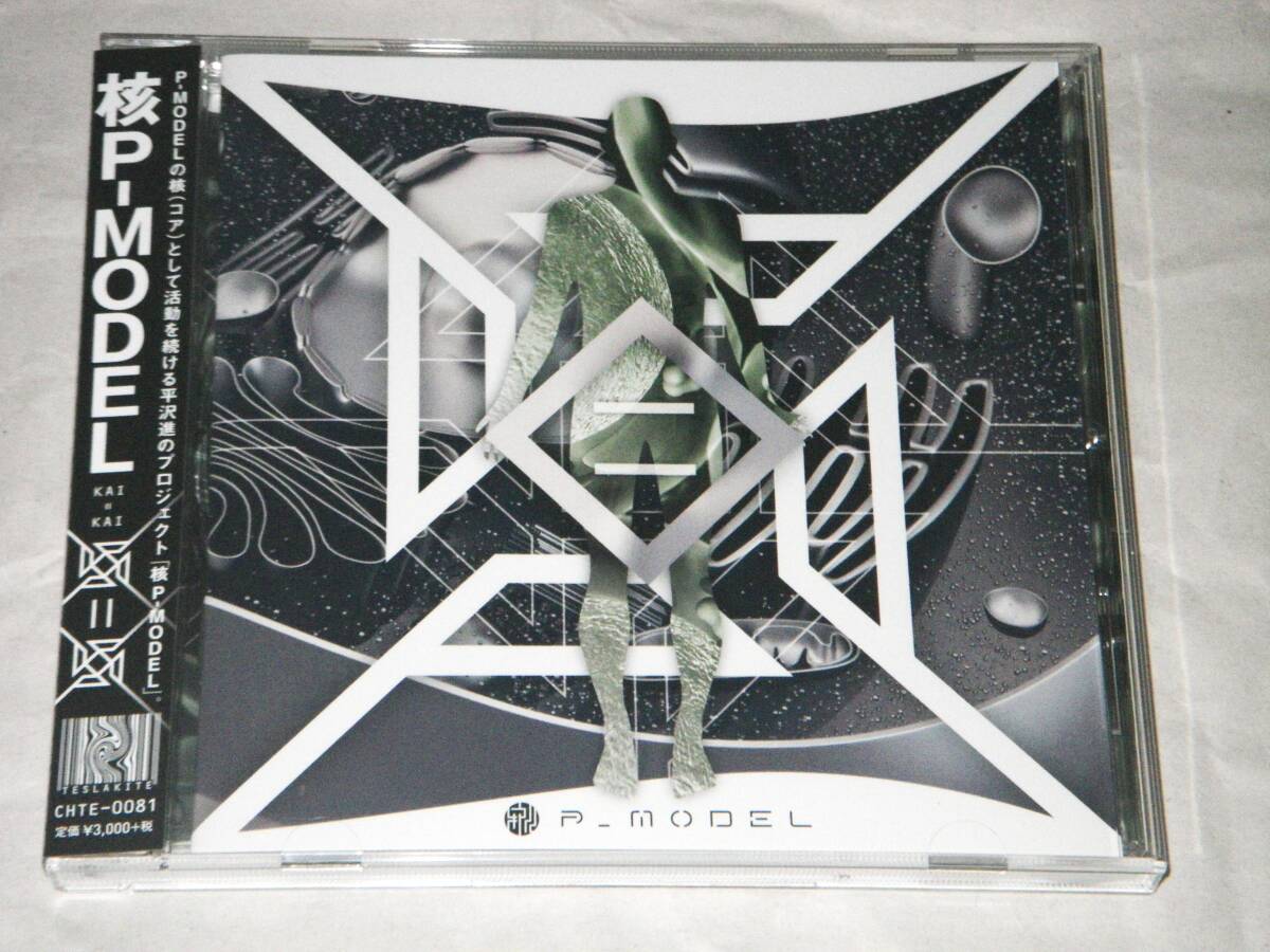 回=回 カラオケCD 核P-MODEL 核P-MODEL 回=回 平沢進 購入 特典 カラオケ CD Amazon.co.jp