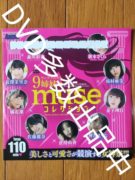 ヤングアニマル 付録 森川彩香 長澤茉里奈 橘花凛 佐藤麗奈 倉持由香 新谷えりな 金子理江 稲村亜美 新木さくら DVD ダ1