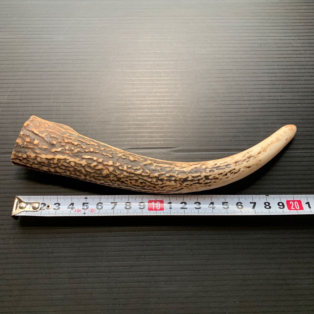 根付 1 栗 ストラップ 提げとしても ぶらり 鹿の角 鹿角 蝦夷鹿 彫刻 着物 Yahoo!オークション -「鹿角 根付」の落札相場・落札価格