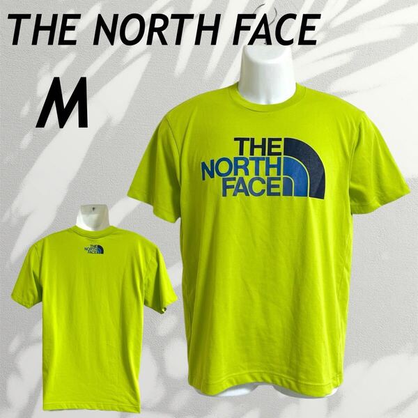 THE NORTH FACE ザ・ノースフェイス TEK TEE メンズ Tシャツ M 半袖カットソー ロゴ NT 32102 アウトドア ライトグリーン系 (G013)★