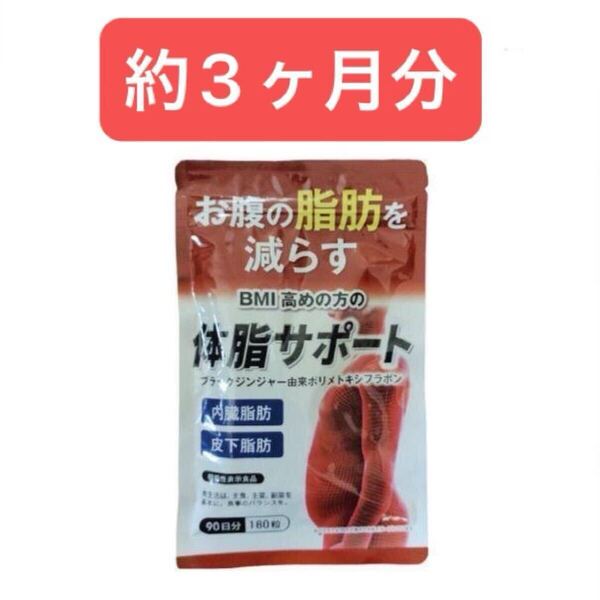 BMI高めの方のダイエットサプリ DUEN体脂サポート 180粒 90日分