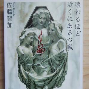 (TB‐20) 壊れるほど近くにある心臓(単行本) 著作者=佐藤智加 (河出書房新社)