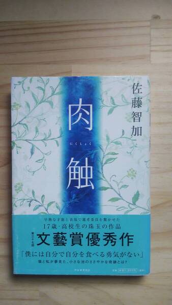 (TB‐24) 肉触(単行本) 著作者=佐藤智加 (河出書房新社)
