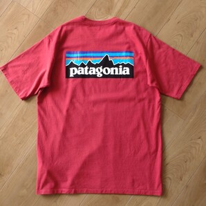 patagonia Tシャツ/半袖/赤/古着/M【J902】