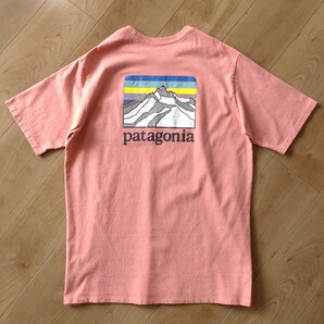 patagonia ポケットTシャツ/Responsibili/半袖/古着/M【J904】