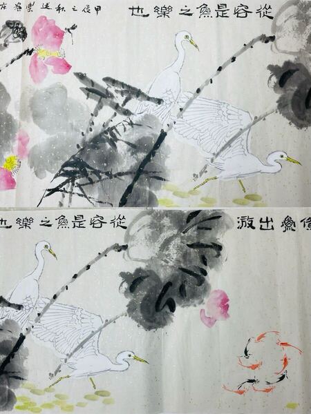 《縱容是魚之樂也》中国有名画家譚述樂作品 真作 花鳥図 美術品 絵画プレゼント 水墨画 風景画 投資・コレクション 現品限定 未装幀 A1