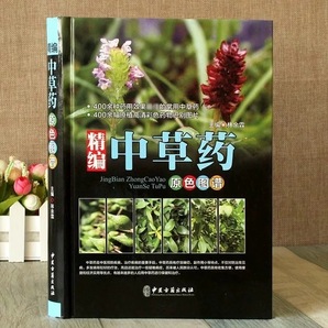 精中草 中国語書籍 400種の薬用植物図鑑 中医学 漢方資料