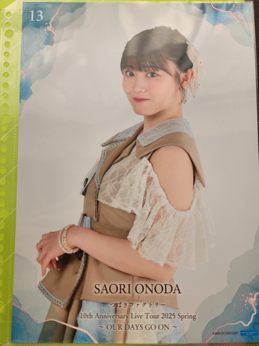 小野田紗栞 コレクションピンナップポスター【サイン入り】 小野田紗栞 コレクションピンナップポスター 2種 - メルカリ