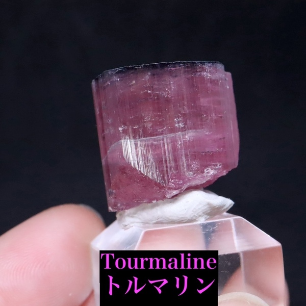 バイカラートルマリン 結晶 電気石 10.9g T725 鉱物 天然石 原石 パワーストーン