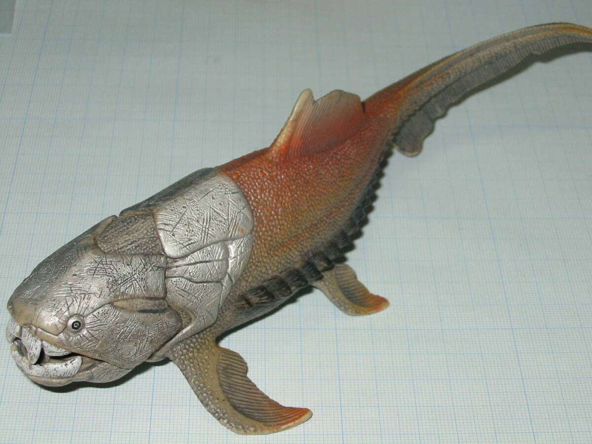 ダンクルオステウス　ディニクチス　placoderm fish　化石 おまけ付き ダンクルオステウス ディニクチス placoderm fish 化石 おまけ