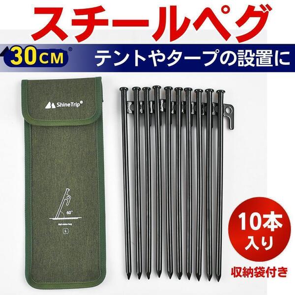 スチールペグ 10本入 袋付き テント アウトドア キャンプ ハンモック タープ 設営 フック 30cm ソロキャンプ ケース付き ペグ スチール