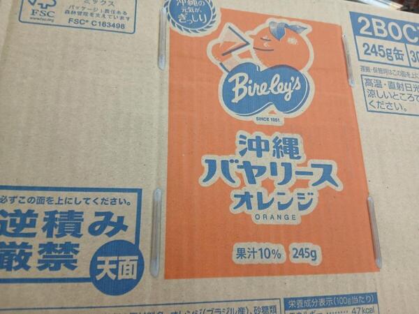 沖縄バヤリース オレンジ 245g×30本