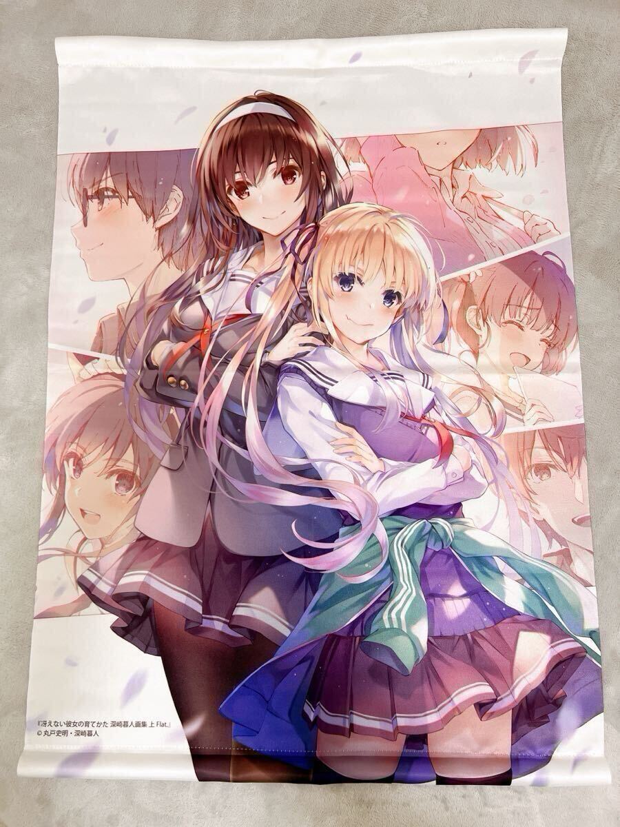 冴えない彼女の育てかた タペストリー 、ポスター 19点まとめ売り Amazon.co.jp: 冴えない彼女の育てかた Fine アニプレックス