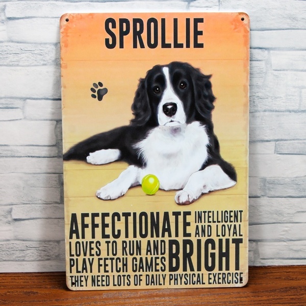 犬(SPROLLIE)のブリキ看板 20㎝×30㎝ アンティーク風 インテリア等飾り スプリンガー犬 ブリキ看板 新品