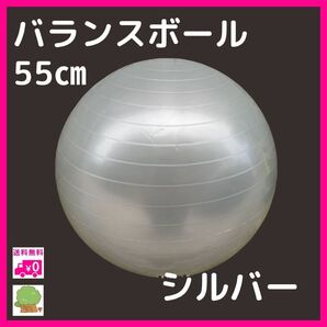 バランスボール シルバー 銀 トレーニング ヨガボール 55cm 体幹 産後 子ども ヨガ 筋トレ フィットネス