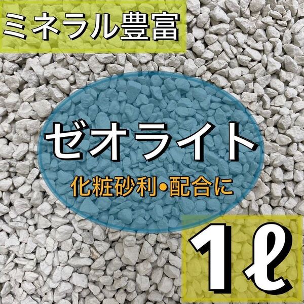 粒状ゼオライト 1L小粒 多肉植物 サボテン 観葉植物 土 魂根植物 マグネシウム アクアリウム 水槽 砂利 テラリウム