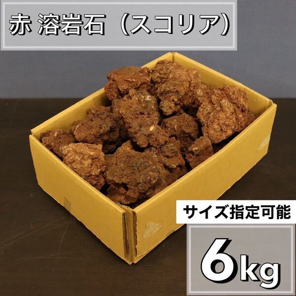 レッドスコリア 6kg アクアリウム 水槽レイアウト アロマ パルダリウム コケリウム 飾り石 石材 目留め ストーン龍王 清 ADA 天然