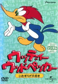 ウッディー ウッドペッカー DVD 8卷セット レンタル アニメ ウッディー・ウッドペッカー ドタバタ大騒動 | キッズビデオ