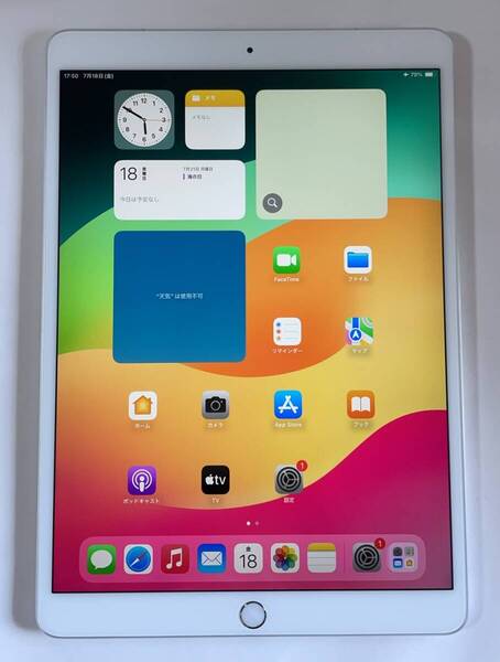 美品IPad Pro 10.5 WiFi + Cellular 64GB シルバー