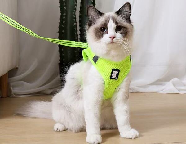 蛍光イエロー Lサイズ 犬用ハーネス 胴輪 猫 ペット リード ベスト メッシュ裏地 通気 軽量 反射 おしゃれ 小型犬 中型犬 大型犬 着脱簡単