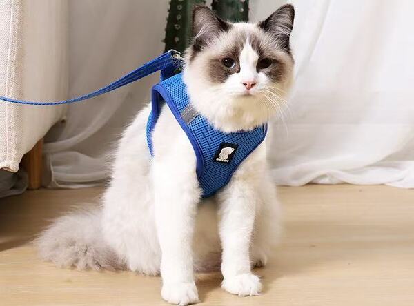 ネイビー Mサイズ 犬用ハーネス 胴輪 猫 ペット リード ベスト メッシュ裏地 通気 軽量 反射 おしゃれ 小型犬 中型犬 大型犬 着脱簡単