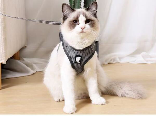 グレー Lサイズ 犬用ハーネス 胴輪 猫 ペット リード ベスト メッシュ裏地 通気 軽量 反射 おしゃれ 小型犬 中型犬 大型犬 着脱簡単