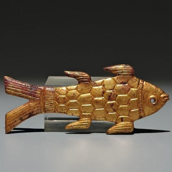 魚幣 Yahoo!オークション -「魚幣」の落札相場・落札価格