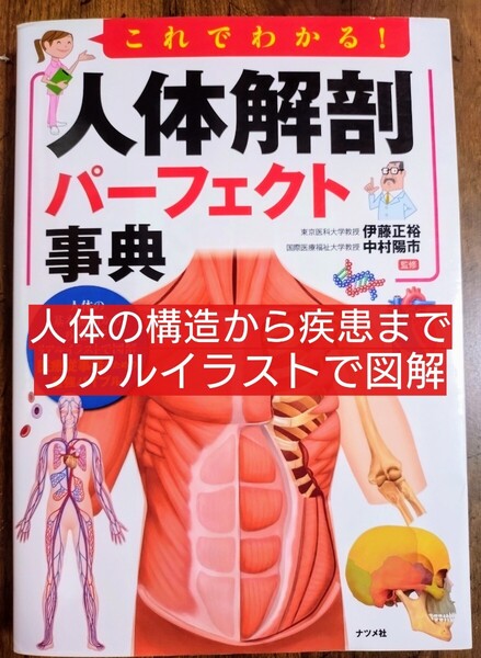 これでわかる!人体解剖パーフェクト事典 (本 テキスト 参考書 医療関係者 医学 医学生 看護学生 看護学 薬剤師 理学療法 作業療法)