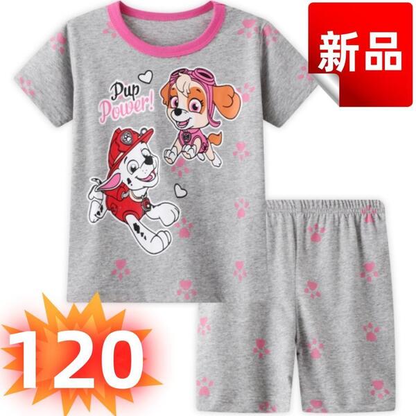 ★新品★パウパトロール 子供パジャマ 半袖 女の子 キッズ グレー 120cm