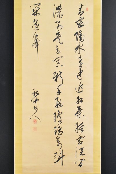 大窪詩仏/江戸の四詩家「書」掛軸 紙本:幕末 漢詩人 茨城県 2025年最新】Yahoo!オークション -大窪詩仏の中古品・新品・未