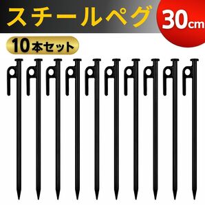スチールペグ 30cm 10本 鍛造ペグ キャンプ用品 キャンプテントアウトドア用品 ソロキャンプ 強靭 タープ 設営 杭 ロープ フック ソリッド