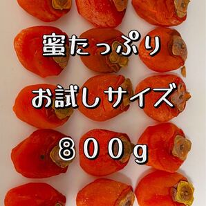 肉厚でとてもジューシー 冷凍でもおいしい 訳あり 大人気 激甘干柿800g 真空包装 干し柿 極甘美味抜群